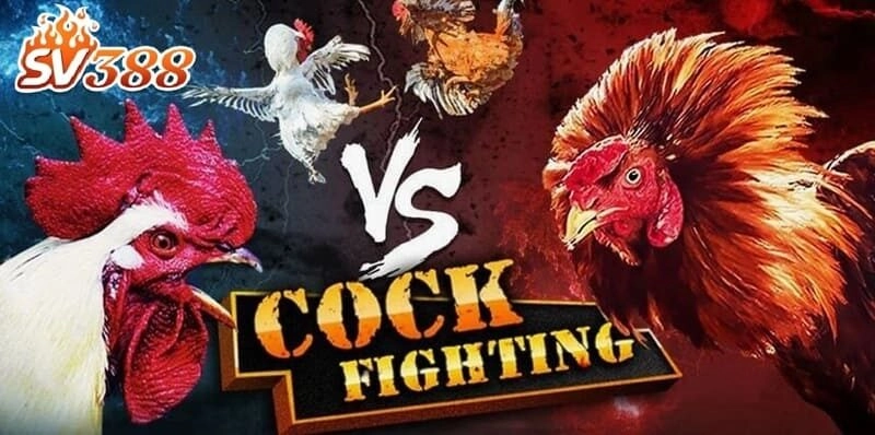 Giao diện thân thiện, hiện đại, bắt mắt